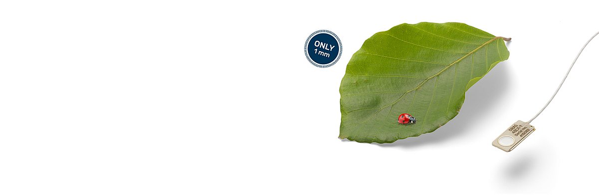 超薄电容式麦克风